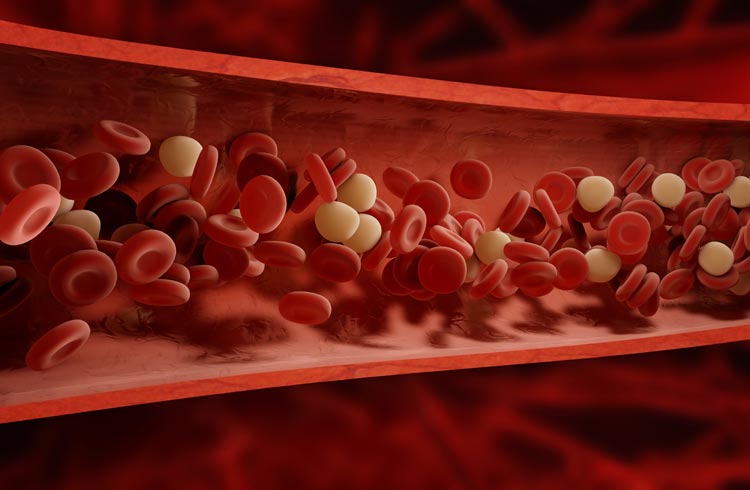 Anticoagulants – pour fluidifier le sang